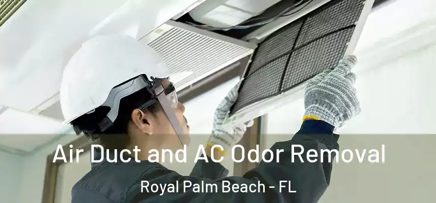 Air Duct and AC Odor Removal Royal Palm Beach - FL