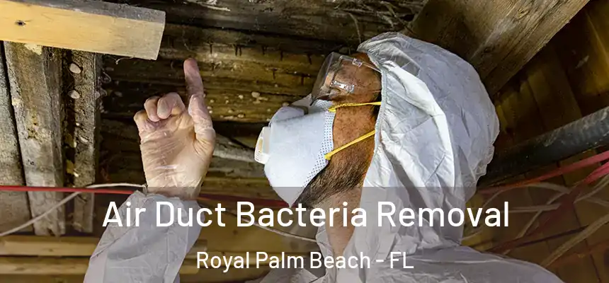 Air Duct Bacteria Removal Royal Palm Beach - FL
