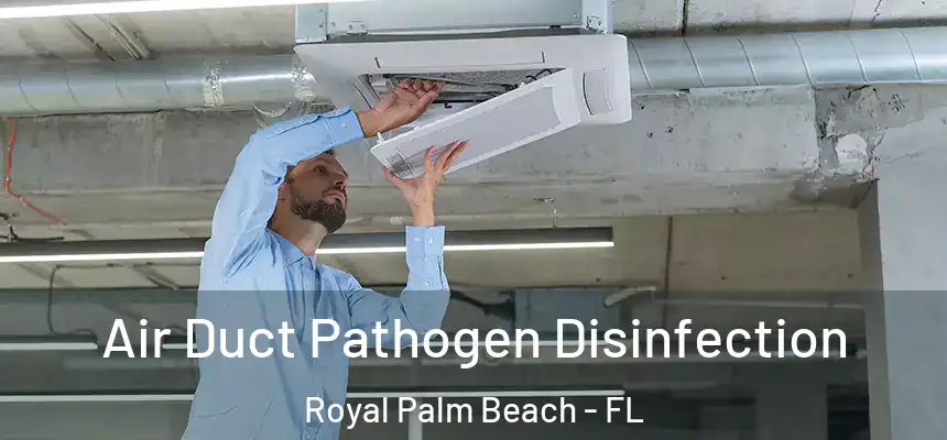 Air Duct Pathogen Disinfection Royal Palm Beach - FL