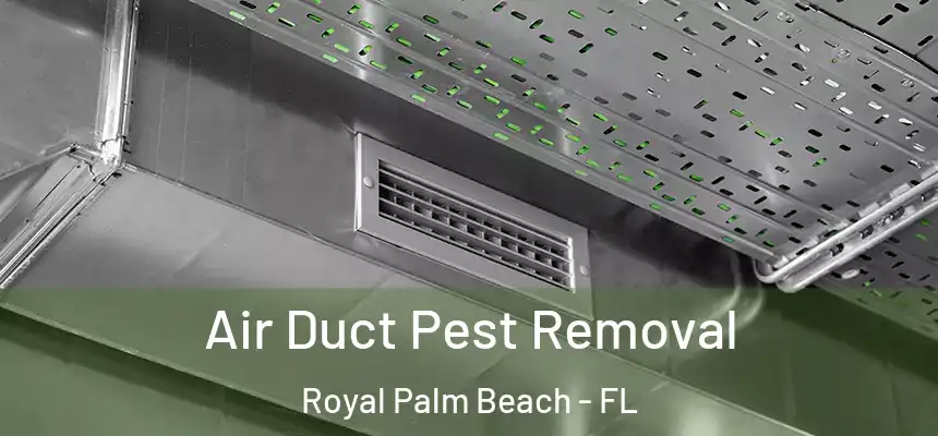 Air Duct Pest Removal Royal Palm Beach - FL