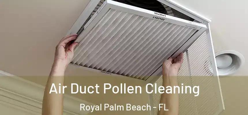 Air Duct Pollen Cleaning Royal Palm Beach - FL