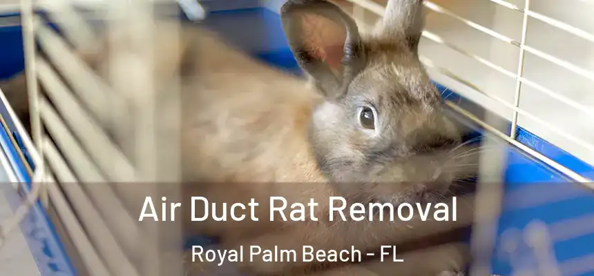 Air Duct Rat Removal Royal Palm Beach - FL