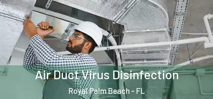 Air Duct Virus Disinfection Royal Palm Beach - FL