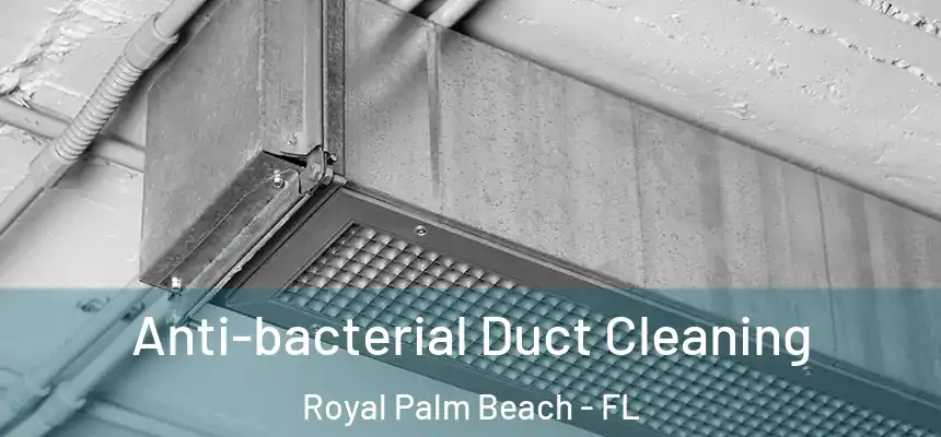Anti-bacterial Duct Cleaning Royal Palm Beach - FL