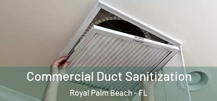 Commercial Duct Sanitization Royal Palm Beach - FL