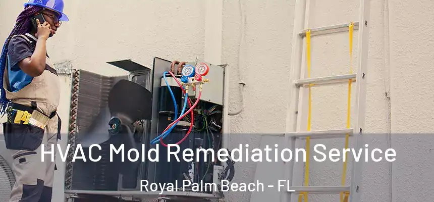 HVAC Mold Remediation Service Royal Palm Beach - FL