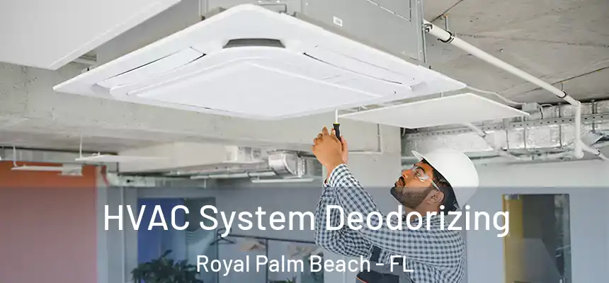 HVAC System Deodorizing Royal Palm Beach - FL