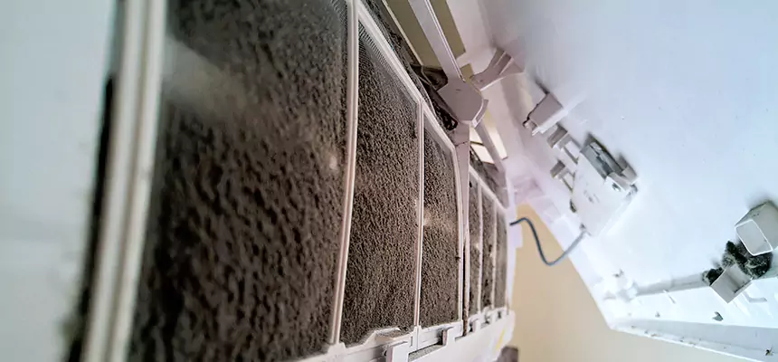 Preventive Air Duct Bacteria Removal in Royal Palm Beach