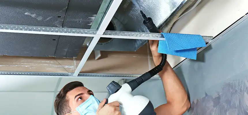 Our Air Duct Rodent Removal Services in Royal Palm Beach, FL