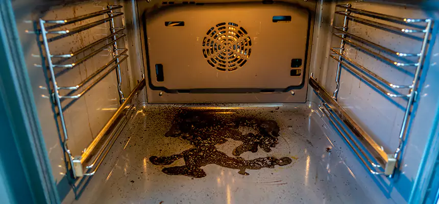 Our Dryer Vent Mold Cleaning Services in Royal Palm Beach, FL