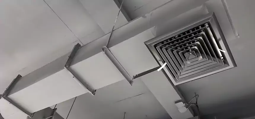 Our Pest Removal From Ducts Services in Royal Palm Beach, FL