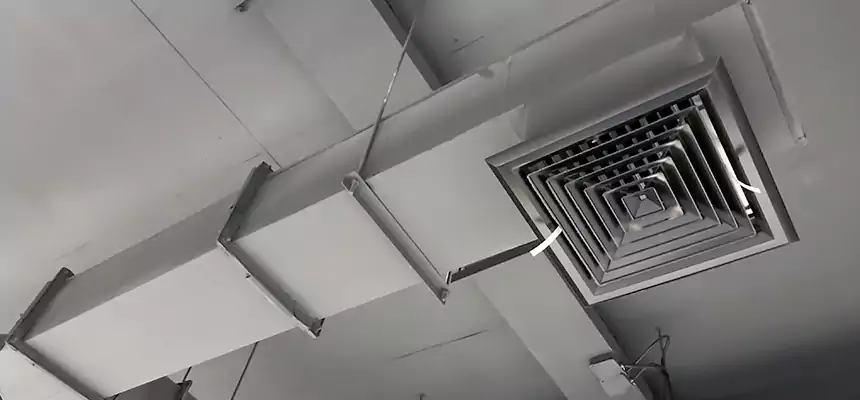 Our Rodent Droppings In Vents Services in Royal Palm Beach, FL