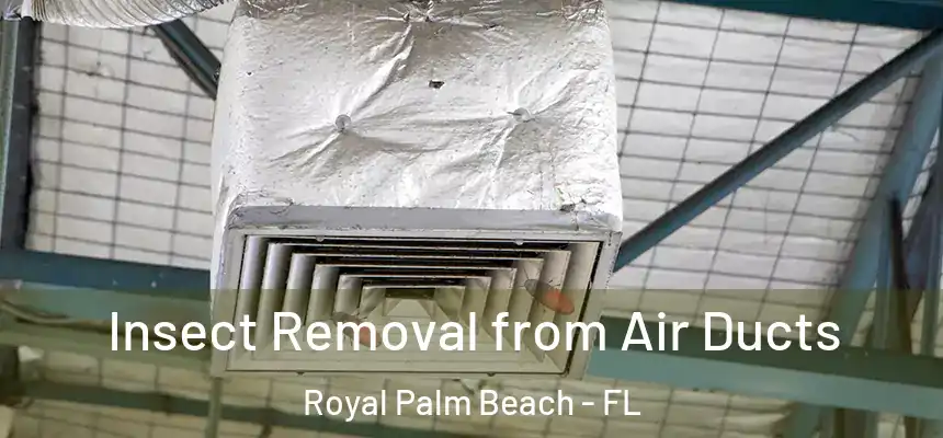 Insect Removal from Air Ducts Royal Palm Beach - FL
