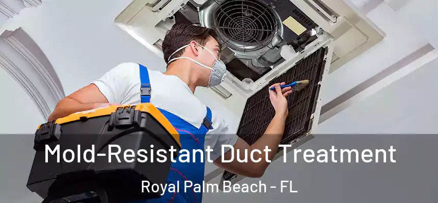 Mold-Resistant Duct Treatment Royal Palm Beach - FL