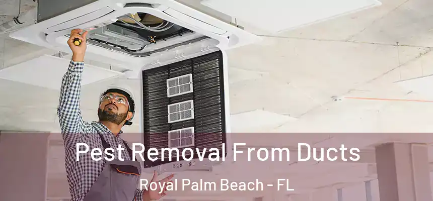 Pest Removal From Ducts Royal Palm Beach - FL