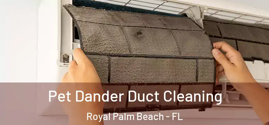 Pet Dander Duct Cleaning Royal Palm Beach - FL