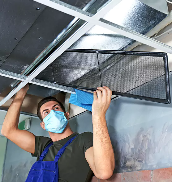 About Air Duct Bacteria Removal in Royal Palm Beach