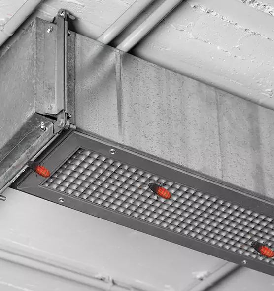 About Air Duct Cockroach Removal in Royal Palm Beach, FL