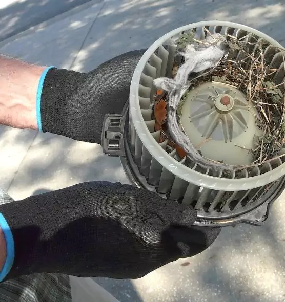 About Air Duct Rat Removal in Royal Palm Beach, FL