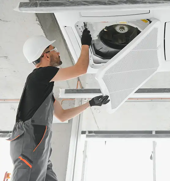 About Air Duct Rodent Removal in Royal Palm Beach, FL