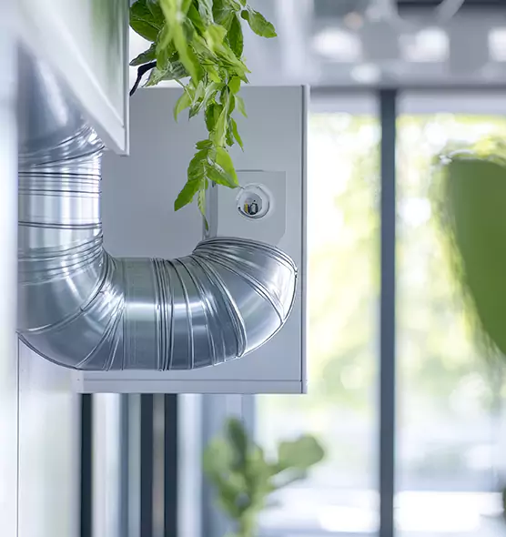 Professional Eco-Safe Dryer Vent Cleaning in Royal Palm Beach, FL