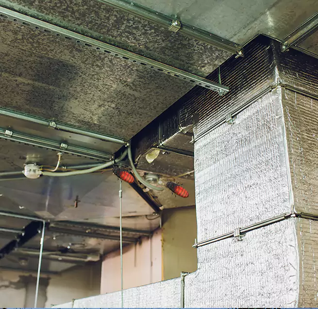 Why Homeowners & Businesses Trust Us in Royal Palm Beach, FL?