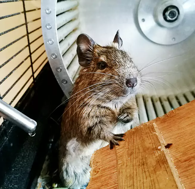 Why Homeowners & Businesses Trust Us Royal Palm Beach, FL?