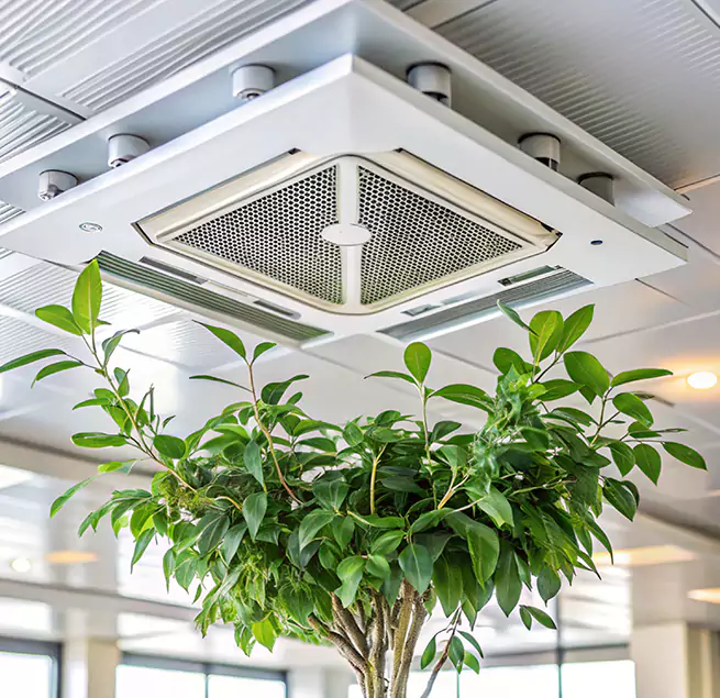 Why Homeowners & Businesses Trust Us in Royal Palm Beach, FL