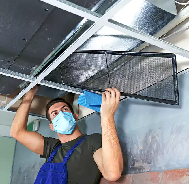 Why Homeowners Businesses Trust Us in Royal Palm Beach, FL